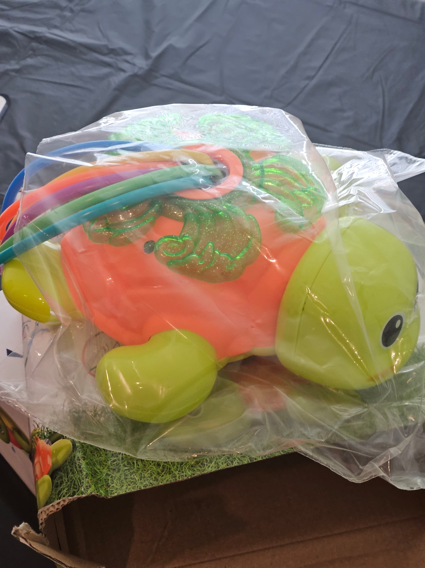 Sprinkler turtle
